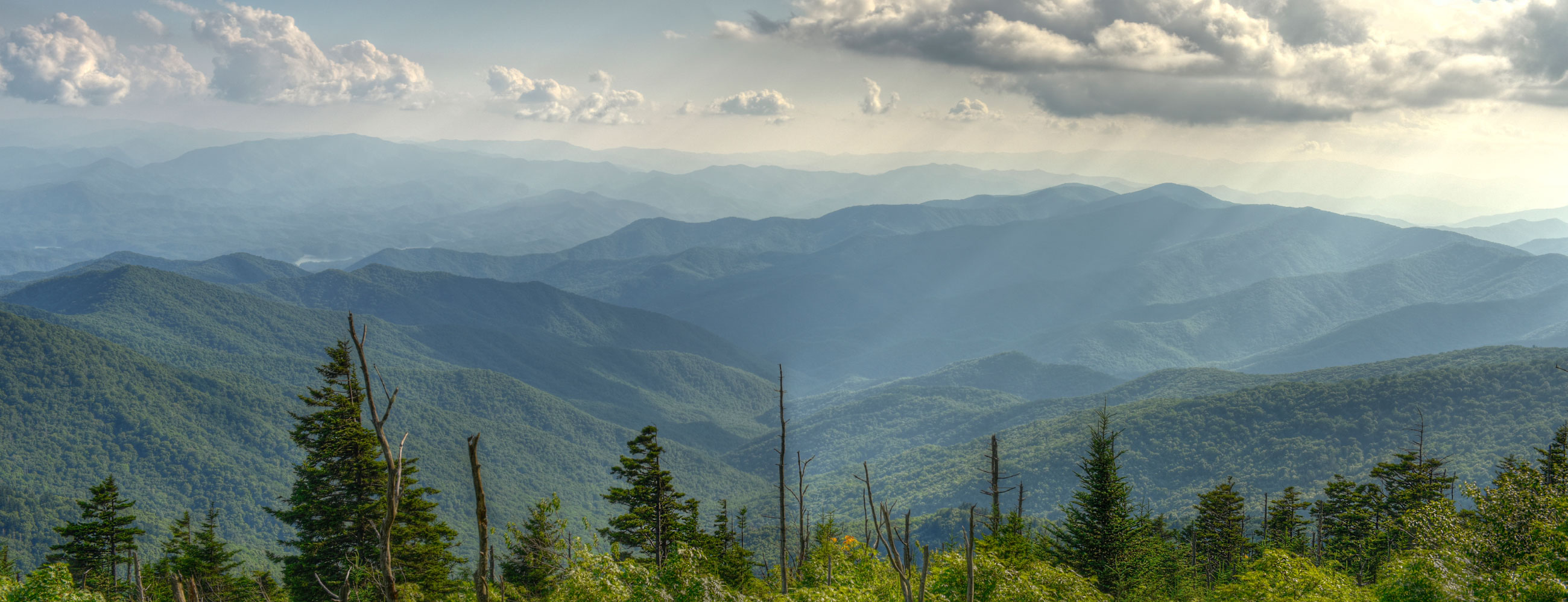 West Coast Outboards